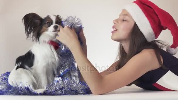 Hermosa chica adolescente en Santa Claus sombrero y perro Continental Juguete Spaniel Papillon en Año Nuevo oropel alegremente jugando en el fondo blanco material de archivo de vídeo — Vídeo de stock