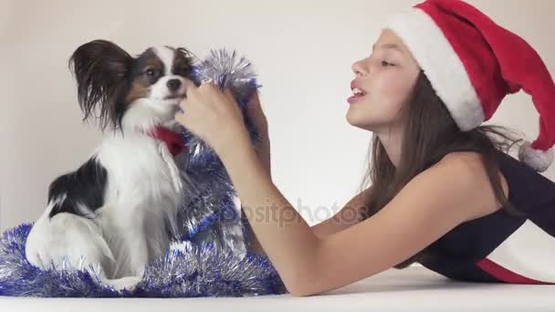 Beautiful teen girl in Santa Claus hat and dog Continental Toy Spaniel Papillon in New Years tinsel joyfully playing on white background stock footage video — Stock Video