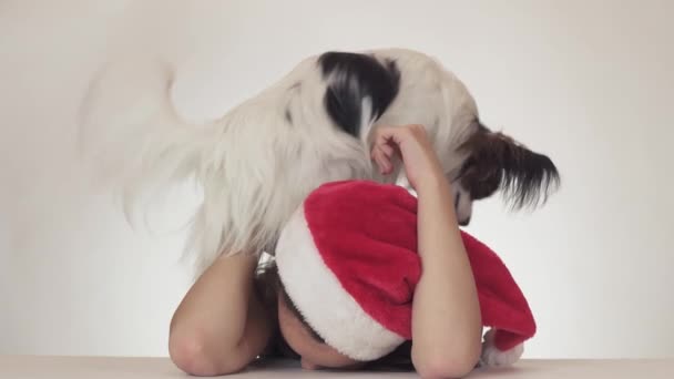 Hermosa chica adolescente en Santa Claus sombrero y perro Continental Juguete Spaniel Papillon jugando alegremente en el fondo blanco archivo de vídeo — Vídeo de stock