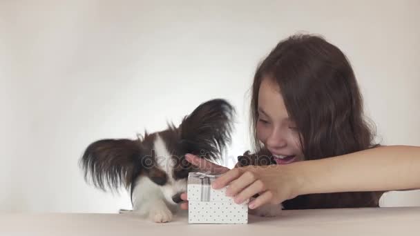 Hermosa adolescente chica da un delicioso regalo a un perro Continental Juguete Spaniel Papillon sobre fondo blanco archivo de vídeo . — Vídeos de Stock