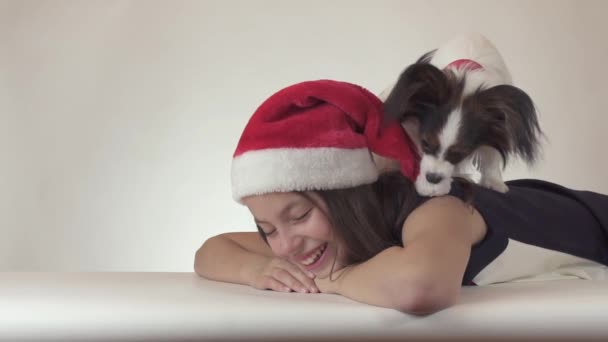 Hermosa chica adolescente y perro Continental Toy Spaniel Papillon en Santa Claus gorras alegremente besando y engañando sobre fondo blanco cámara lenta material de archivo de vídeo — Vídeos de Stock