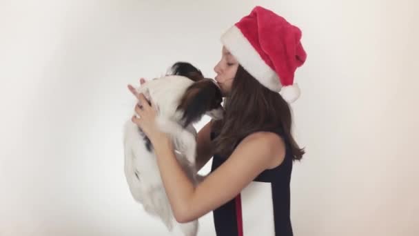 Bella ragazza adolescente in un cappello di Babbo Natale e cane Giocattolo continentale Spaniel Papillon gioiosamente baciare e scherzare su sfondo bianco stock filmato video . — Video Stock