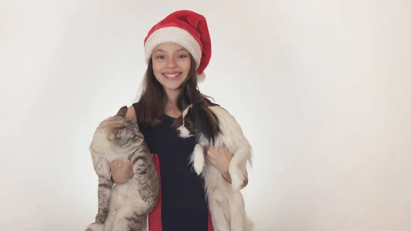 Hermosa chica adolescente en Santa Claus sombrero abraza a su gato y perro sobre fondo blanco —  Fotos de Stock