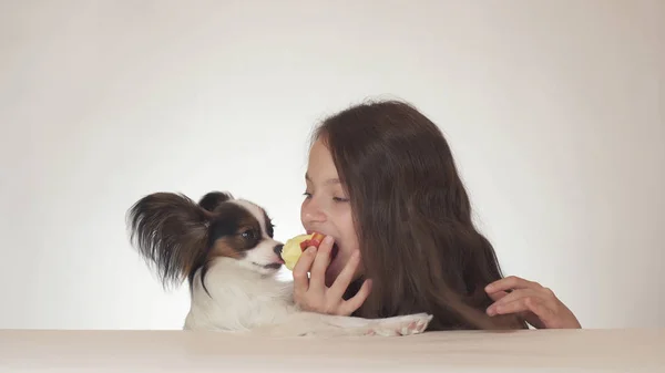 Mooie tiener meisje en hond continentaal Toy Spaniel Papillon eten lekker verse rode appel op witte achtergrond — Stockfoto