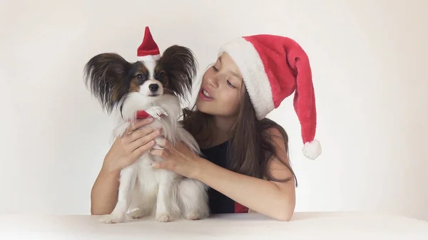 Vackra teen flicka och hund Continental leksaken Spaniel Papillon i Santa Claus mössor med glädje kramas på vit bakgrund — Stockfoto