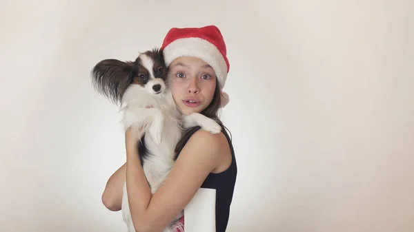 Hermosa chica adolescente en una gorra de Santa Claus y perro Continental Toy Spaniel Papillon alegremente besando y tonteando sobre fondo blanco —  Fotos de Stock