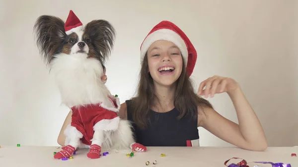 Hermosa chica adolescente y perro Continental Toy Spaniel Papillon en trajes de Santa Claus mirando alegremente a su alrededor y riendo sobre fondo blanco —  Fotos de Stock