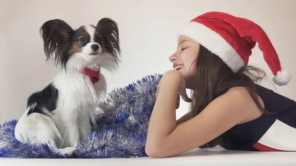 Belle adolescente dans le chapeau du Père Noël et chien Continental Toy Spaniel Papillon au Nouvel An tinsel jouant joyeusement sur fond blanc — Photo