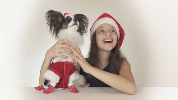 Vackra teen flicka och hund Continental leksaken Spaniel Papillon i Santa Claus kostymer glatt titta runt och skrattar på vit bakgrund — Stockfoto