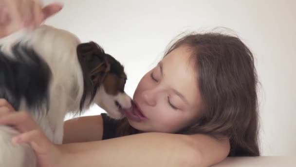 Menina adolescente bonita e cão Continental brinquedo Spaniel Papillon beijando e brincando em torno de fundo branco imagens de vídeo . — Vídeo de Stock