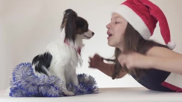 Красивая девочка-подросток в шляпе Санта-Клауса и собака Континентальная игрушка Спаниель Papillon в новогодней мишуре радостно играет на белом фоне — стоковое видео