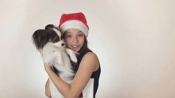 Beautiful teen girl in a Santa Claus cap and dog Continental Toy Spaniel Papillon joyfully kissing and fooling around on white background — Stock Photo, Image