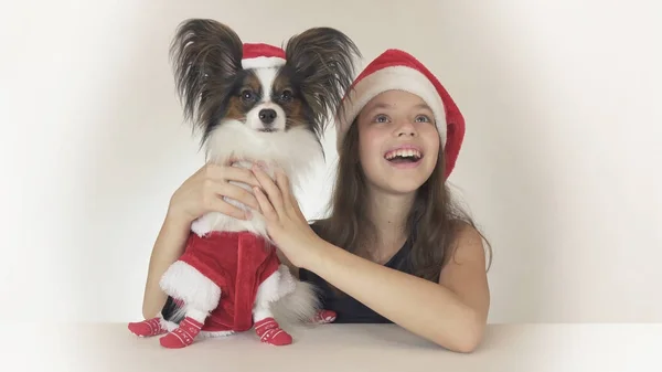Menina adolescente bonita e cão Continental brinquedo Spaniel Papillon em trajes de Papai Noel alegremente olhando ao redor e rindo no fundo branco — Fotografia de Stock