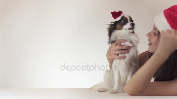 Menina adolescente bonita e cão Continental brinquedo Spaniel Papillon em bonés Papai Noel alegremente beijando e brincando em torno de fundo branco imagens de vídeo — Vídeo de Stock