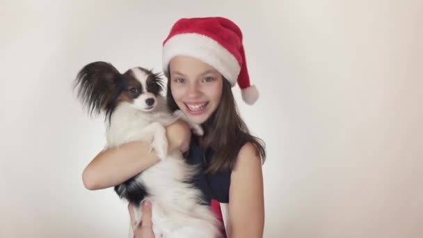美丽的少女在一个圣诞老人的帽子和狗大陆玩具猎犬比快乐地亲吻和鬼混在白色背景股票录像视频. — 图库视频影像