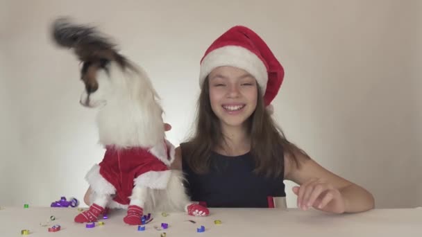 Bella ragazza adolescente e cane giocattolo continentale Spaniel Papillon in costumi di Babbo Natale godersi il nuovo anno serpentina su sfondo bianco stock filmato video . — Video Stock