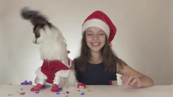 Szép tini lány és Santa Claus jelmez kontinentális játékszer spániel Ízlelő szemölcsös kutya élvezni az új év szerpentin, a fehér háttér stock footage videó. — Stock videók