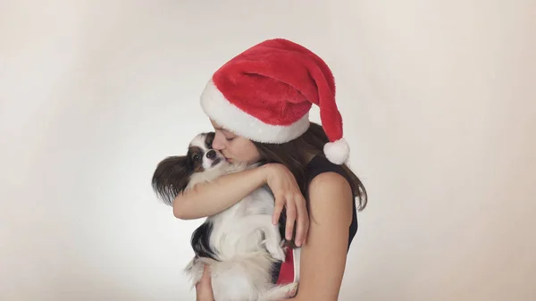 Beautiful teen girl in a Santa Claus cap and dog Continental Toy Spaniel Papillon joyfully kissing and fooling around on white background — Stock Photo, Image