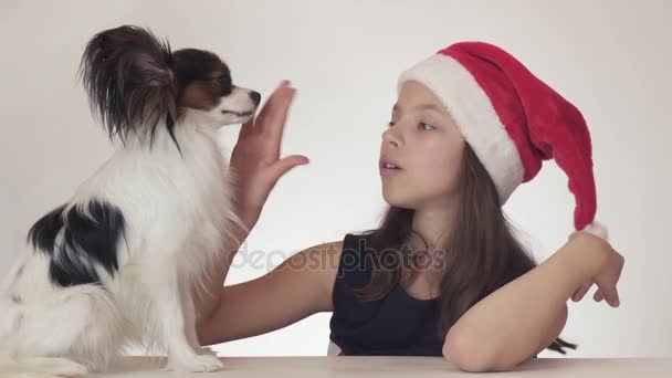 Szép boldog tizenéves lány egy Mikulás kalap a meglepett, és élvezi a várva várt ajándék - fehér háttér stock footage videóinak kontinentális játékszer spániel Ízlelő szemölcsös kutya — Stock videók