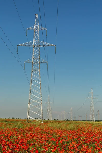 Yüksek voltajlı elektrik hatları Kırım haşhaş alanlar üzerinde — Stok fotoğraf