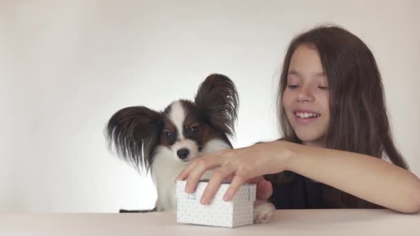 Hermosa adolescente chica da un delicioso regalo a un perro Continental Juguete Spaniel Papillon sobre fondo blanco archivo de vídeo . — Vídeo de stock