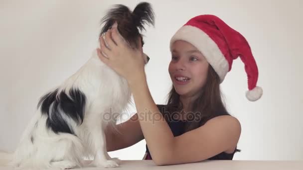 Hermosa chica adolescente feliz en un sombrero de Santa Claus se sorprende y disfruta del regalo largamente esperado - perro Continental Toy Spaniel Papillon sobre fondo blanco material de archivo de vídeo — Vídeos de Stock