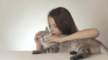 Güzel genç kız öpücük ve Tay doğurmak sevgili onu kedi üzerinde beyaz arka plan stok görüntüleri video hugs.