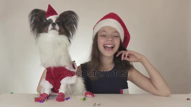 Szép tini lány és Santa Claus jelmez kontinentális játékszer spániel Ízlelő szemölcsös kutya élvezni az új év szerpentin, a fehér háttér stock footage videó. — Stock videók