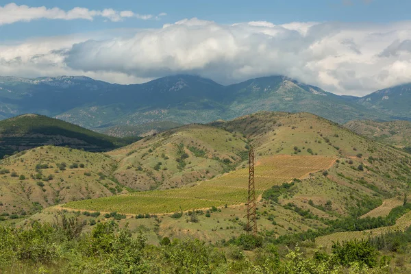 A gyönyörű szőlőültetvények Krím-hegység — Stock Fotó