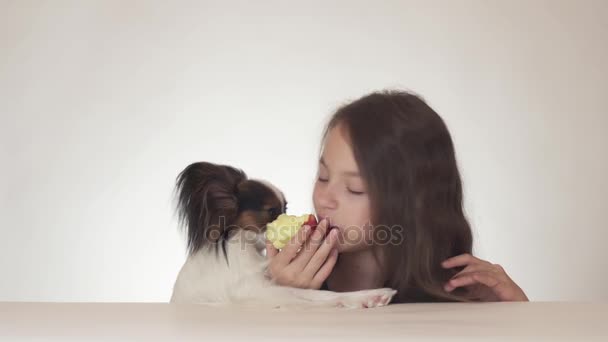 Bella ragazza adolescente e cane giocattolo continentale Spaniel Papillon mangiare gustosa mela rossa fresca su sfondo bianco stock filmato video . — Video Stock