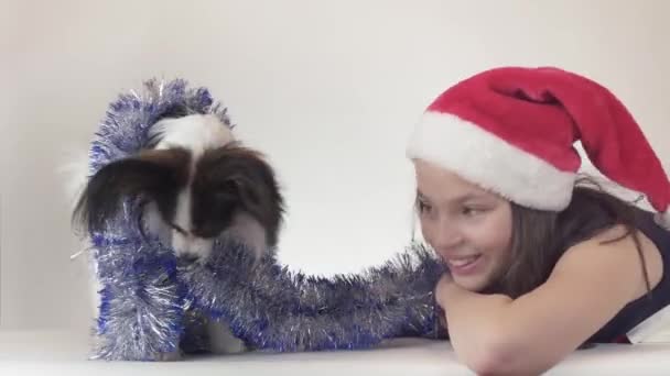 Belle jeune fille dans le chapeau du Père Noël et chien Continental Toy Spaniel Papillon dans le Nouvel An tinsel jouant joyeusement sur fond blanc vidéo de stock — Video