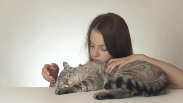 Beautiful teen girl kisses and hugs her beloved cat of Thai breed on white background stock footage video. — Stock Video