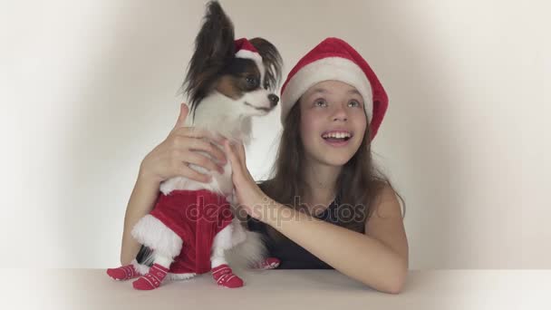 Bella ragazza adolescente e cane giocattolo continentale Spaniel Papillon in costumi di Babbo Natale guardando felicemente la parte superiore e ridendo su sfondo bianco stock video . — Video Stock