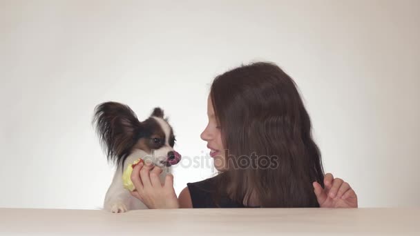 Menina adolescente bonita e cão Continental brinquedo Spaniel Papillon comer saborosa maçã vermelha fresca no fundo branco imagens de vídeo . — Vídeo de Stock