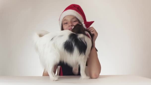 Belle adolescente et chien Continental Toy Spaniel Papillon dans les casquettes du Père Noël s'embrassant joyeusement et s'amusant sur fond blanc vidéo de stock — Video