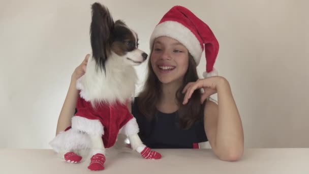 Menina adolescente bonita e cão Continental brinquedo Spaniel Papillon em trajes de Papai Noel alegremente beijando e brincando em torno de fundo branco imagens de vídeo . — Vídeo de Stock