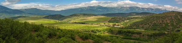 Hermoso panorama veraniego de viñedos en las montañas de la península de Crimea — Foto de Stock