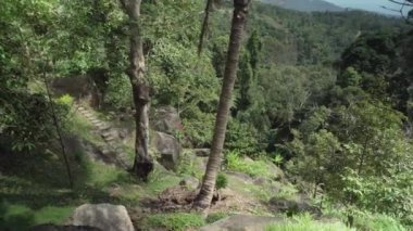 Cennet Park Farm Samui stok görüntüleri video güzel tropikal bitki örtüsü