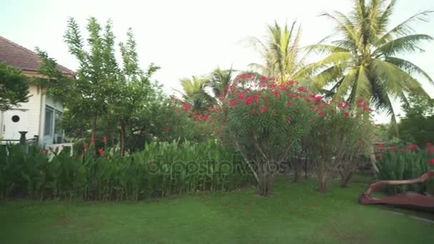 Unique Samui International Airport in the open air stock footage video — Stock Video