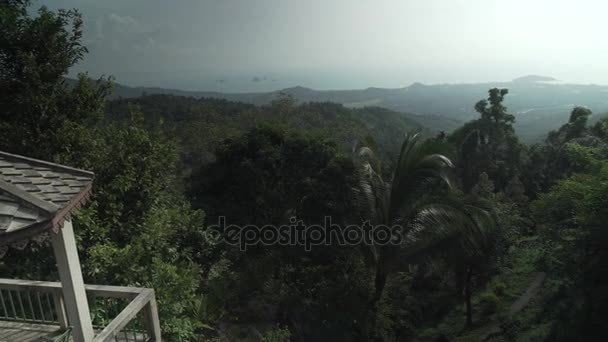 Wunderschöne tropische Vegetation des Paradise Park Farm Samui Stock Footage Video — Stockvideo