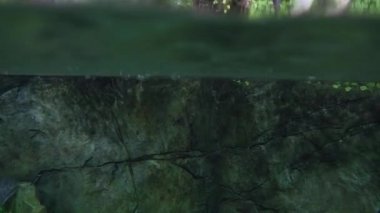 Yağmur damlaları tropikal su birikintisi içine düşmek. Stok görüntüleri video inmeye su altından geçiş