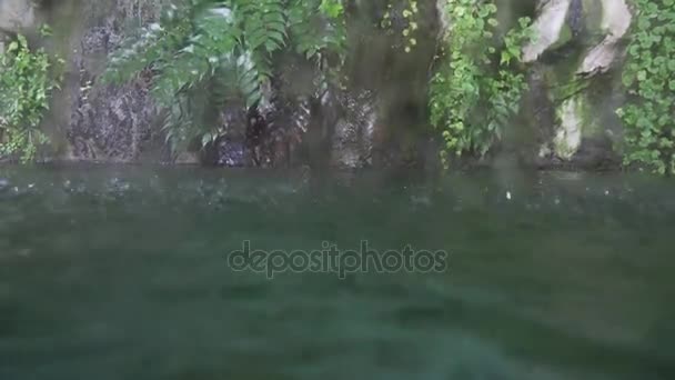 Le gocce di pioggia cadono nello stagno tropicale. Passaggio dal filmato di stock sottomarino a quello terrestre — Video Stock