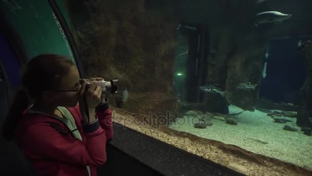 Chica toma fotos de colorido mundo submarino material de archivo de vídeo — Vídeos de Stock