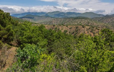 Güzel yaz manzara Kırım Dağları.