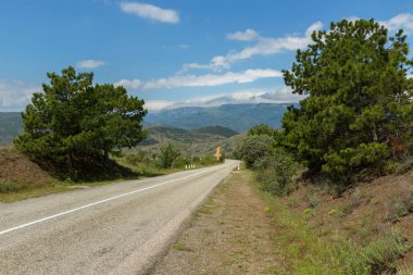 Pines Kırım Dağları'nın yaz manzara arka plan üzerinde