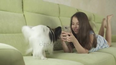 Köpek Papillon metresi smartphone--dan dikkatini ve stok görüntüleri video ile oynamak için ikna eder.