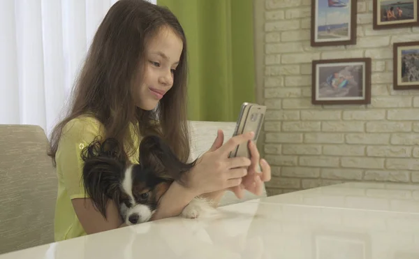 Dog begs attention to himself, not to smartphone — Stock Photo, Image