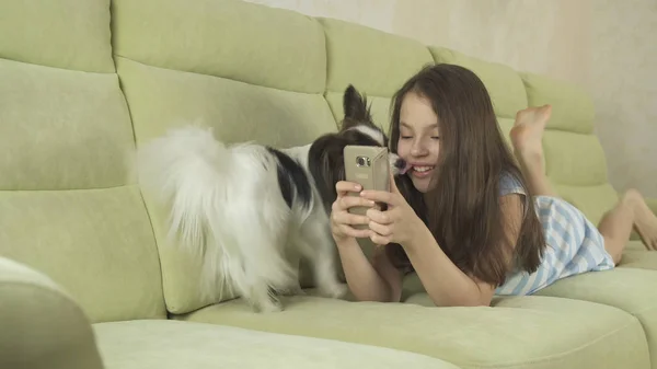 Dog begs attention to himself, not to smartphone — Stock Photo, Image