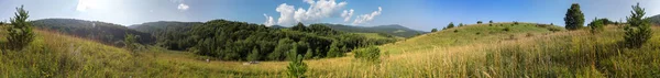 Piękna letnia panorama bujnej roślinności w górach Altai — Zdjęcie stockowe