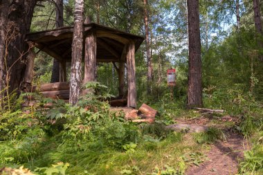 Terrenkur sağlık güzel ahşap çardak Belokurikha dağ nehir boyunca iz